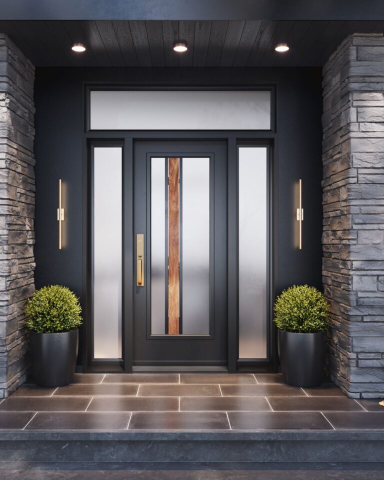 Durable black steel exterior door featuring a clear glass insert for modern appeal.